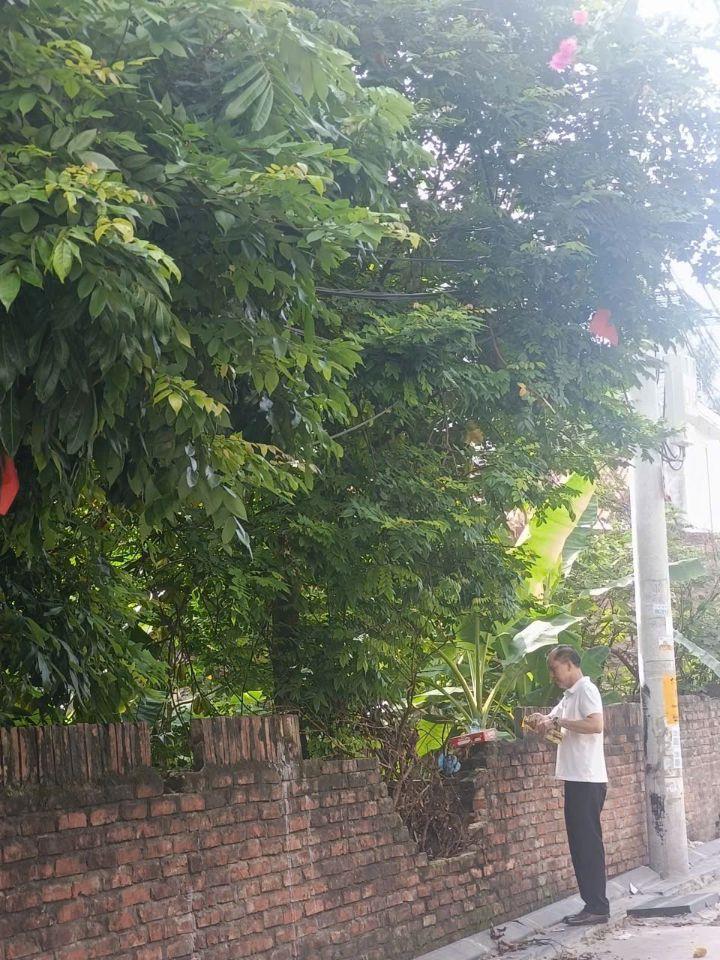 Chính chủ cần tiền bán 200m² đất  Đông Hội - Đông Anh -  ô tô tránh -   Gía12.8 tỷ