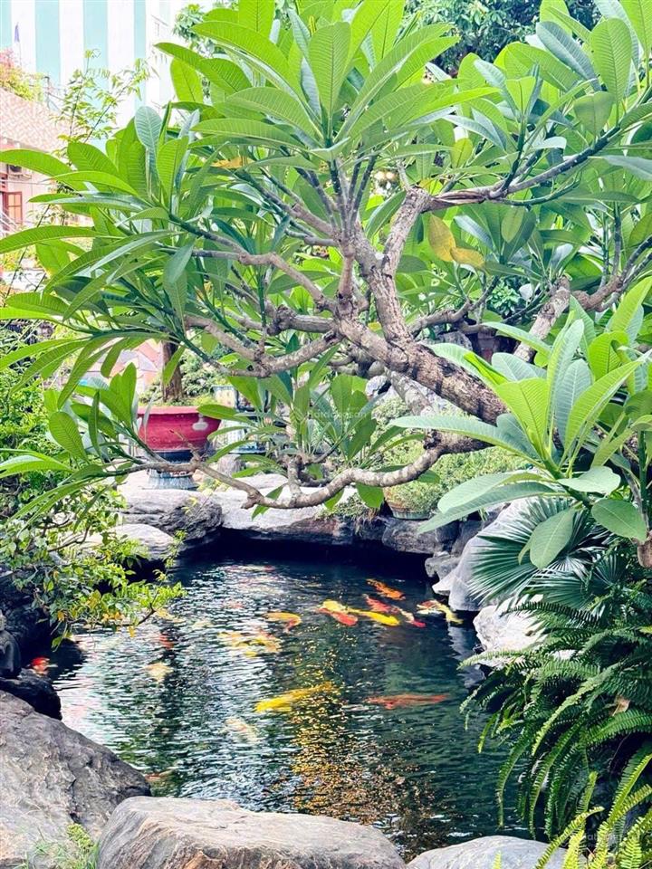 Villa phố tây an thượng dt khủng 871m ngang 19m 3 tầng cổ điểndòng tiền 300tr/1 tháng