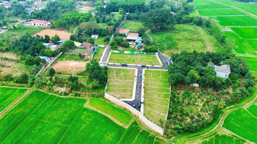 Bán đất 100m2 trại hồ  cổ đông sơn tây  sổ đỏ riêng  đường nhựa  chỉ 1,7 tỉ