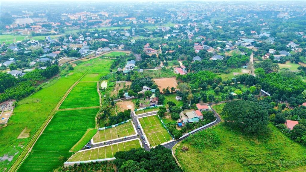 Bán đất 100m2 trại hồ  cổ đông sơn tây  sổ đỏ riêng  đường nhựa  chỉ 1,7 tỉ