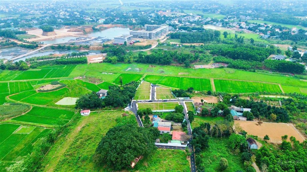 Bán đất 100m2 trại hồ  cổ đông sơn tây  sổ đỏ riêng  đường nhựa  chỉ 1,7 tỉ
