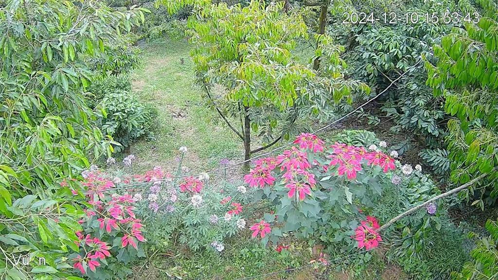 Cho thuê đất mặt tiền điện biên phủ gần công viên sinh đôi ngãi giao châu đức