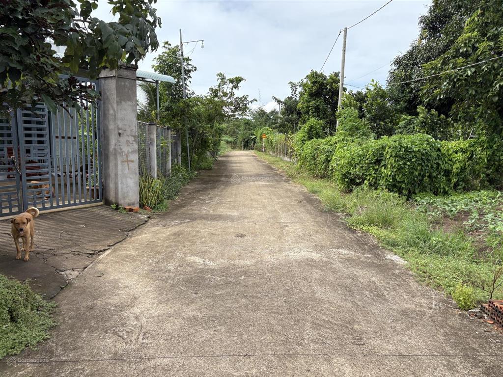 Bán gấp 1000m2 đất xã bình ba châu đức có 24m mặt tiền bê tông 0933 003 ***