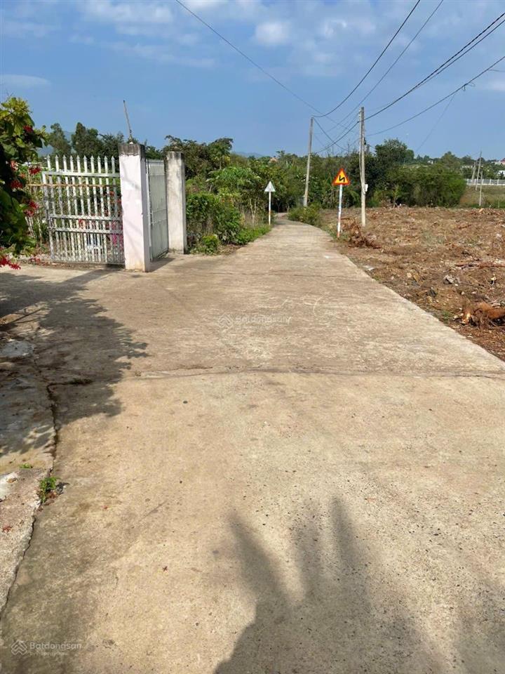 1000m2 đất xã bình ba, châu đức cũ có 23.5m mặt tiền đường bê tông