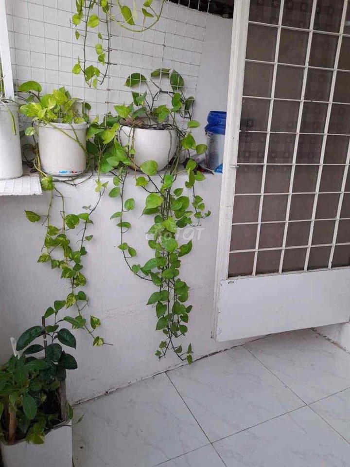 Cho thuê nhà nhỏ 3 tầng GV giá 4.500k  LH: ***