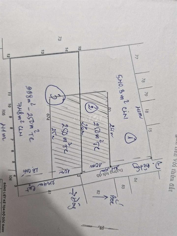 CHÍNH CHỦ _ BÁN ĐẤT BIỆT THỰ ĐI XUẤT CẢNH