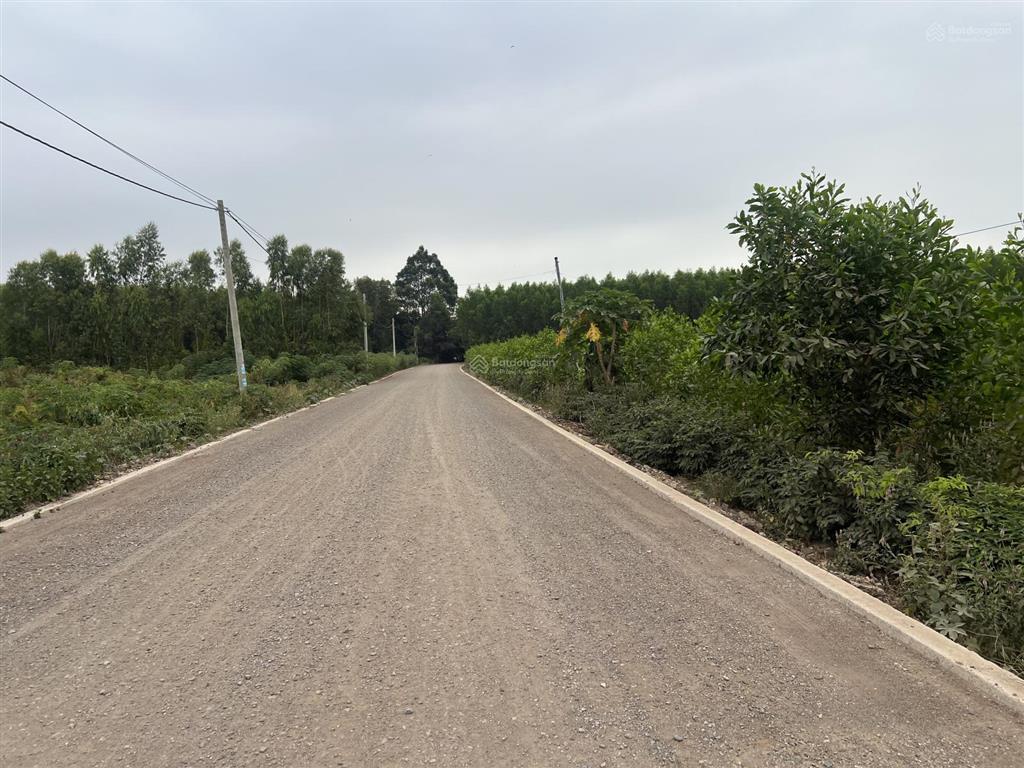 Bán đất tại xã láng dài, huyện long đất, bà rịa vũng tàu giá tốt