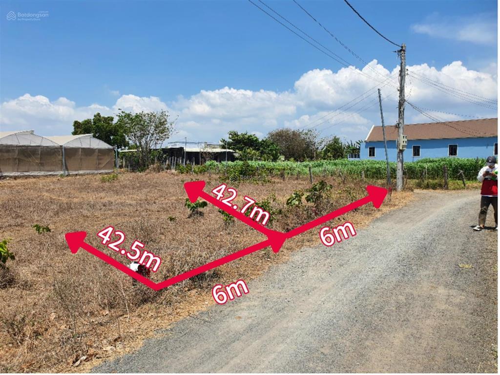 Thanh lý lô đất tại xã phước long thọ 258.7m2