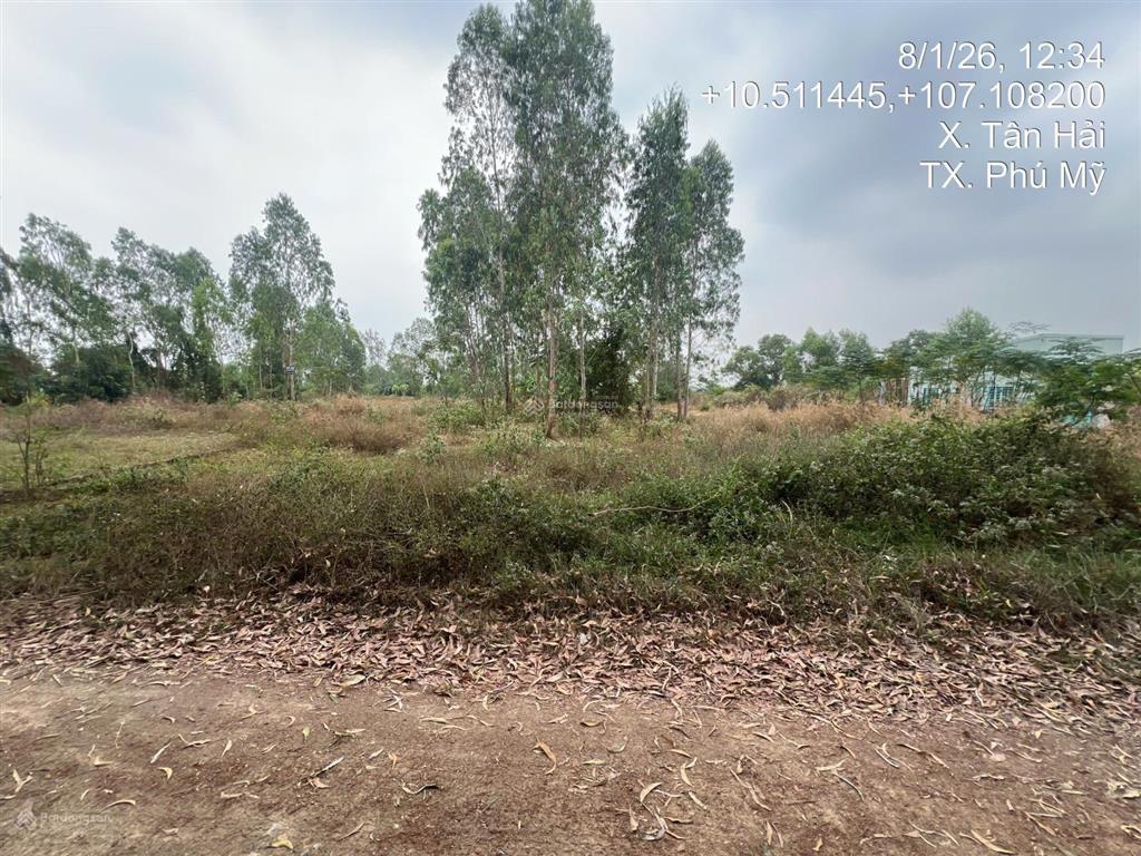 Bán đất 1753,13m2 tại xã tân hải, bà rịa vũng tàu