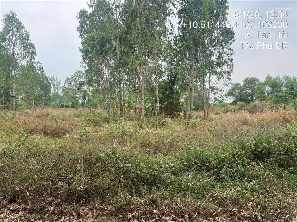 Bán đất 1753,13m2 tại xã tân hải, bà rịa vũng tàu