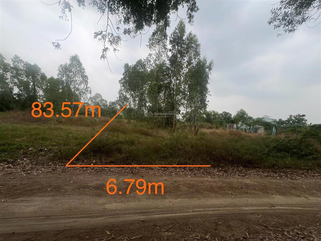 Bán đất 1753,13m2 tại xã tân hải, bà rịa vũng tàu