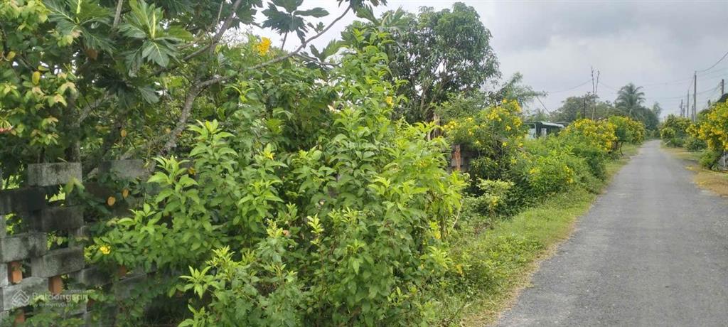 Bán nhà riêng tại cầu sao, 5,2 tỷ, 4416 m2 có 400m2 thổ cư