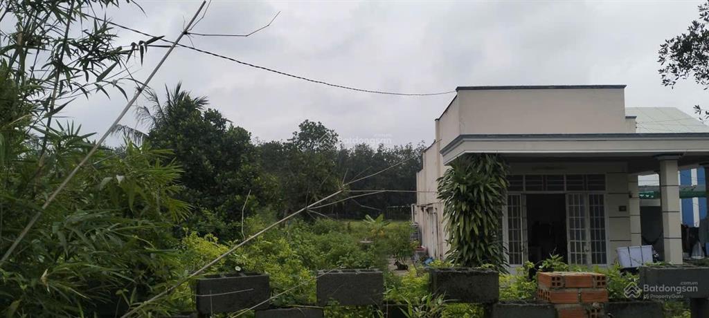 Bán nhà riêng tại cầu sao, 5,2 tỷ, 4416 m2 có 400m2 thổ cư