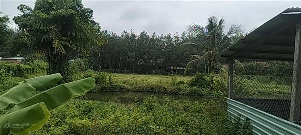 Bán nhà riêng tại cầu sao, 5,2 tỷ, 4416 m2 có 400m2 thổ cư