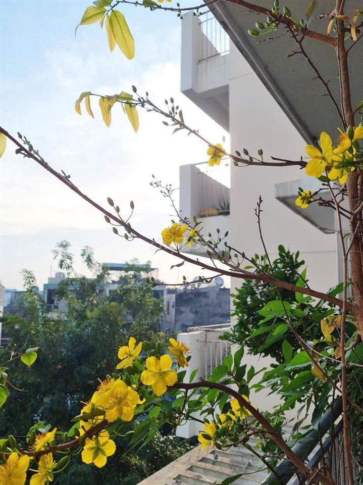 CHÍNH CHỦ BÁN CĂN HỘ CHUNG CƯ TÂN TẠO (VĨNH TƯỜNG) - SỔ HỒNG RIÊNG