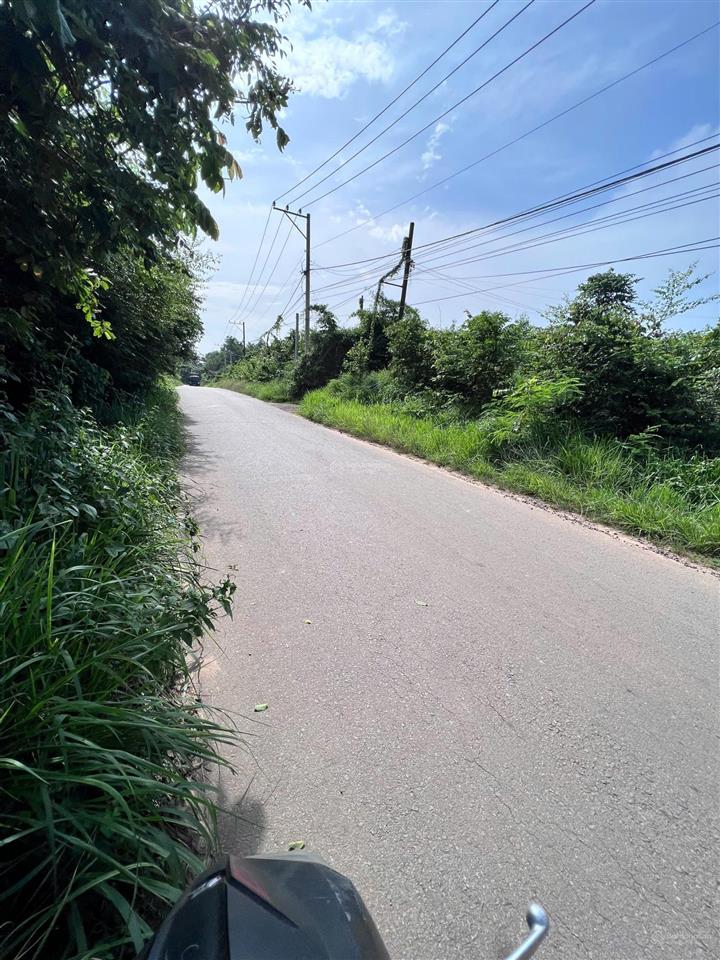 Cần bán gấp lô đất lớn, 10000m2. thích hợp là kho xưởng, phân lô