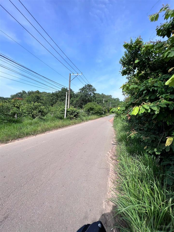 Cần bán gấp lô đất lớn, 10000m2. thích hợp là kho xưởng, phân lô