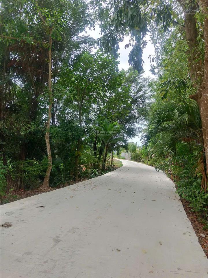 Lô đất tân bửu giá thấp hơn thị trường cơ hội lướt sóng rõ ràng