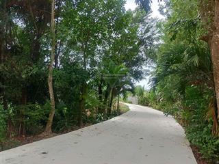 Đất nền tân bửu cơ hội trước khi đô thị hóa giá chỉ 1,5tỷ full thổ cư