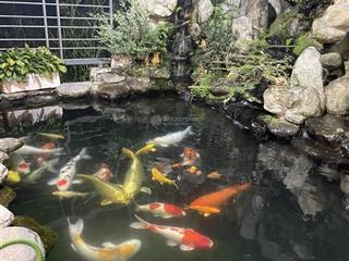 Bán đất xây căn hộ khách sạn đường huỳnh văn bánh gần phan đình phùng