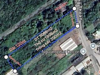 Lộ giới đường nhựa 30m( măt tiền )full thổ cư 1806m2  xây dựng cao tầng  cạnh global city phú hữu