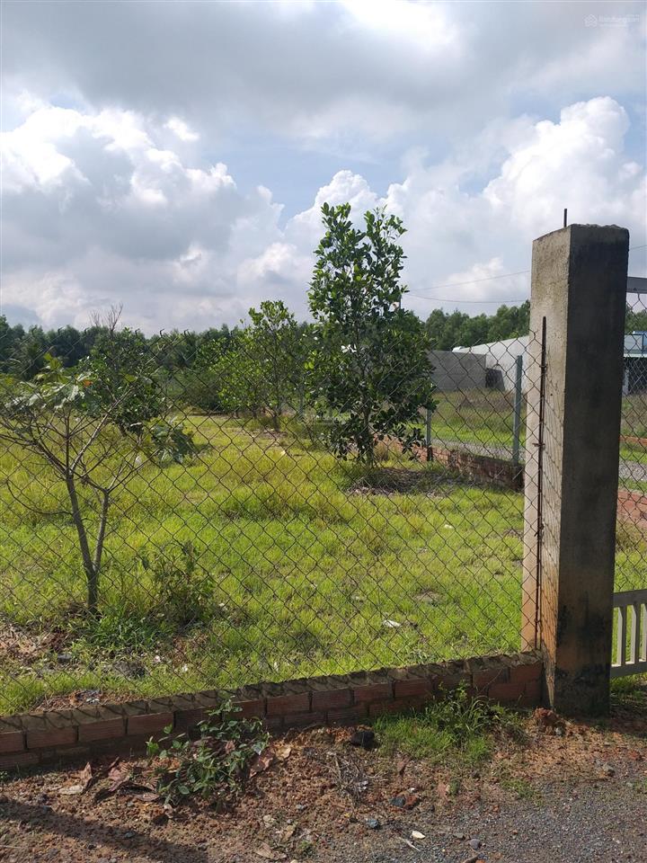Siêu phẩm second home sát điểm giao vành đai 3 ct long thành bến lức tại xã vĩnh thanh, nhơn trạch