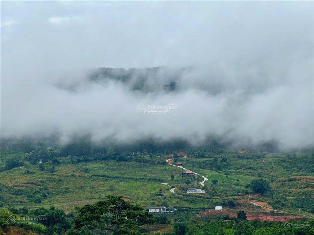Quỹ đất làm farmstay cực đẹp tại tân văn 4.286,7m², có 1.650m² đất ở, ngang 31m