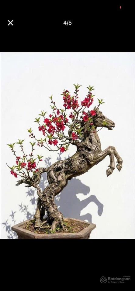 Mở bán lô đất f0 đẹp tại tdp cộng hoà  p. mỹ hào  hy