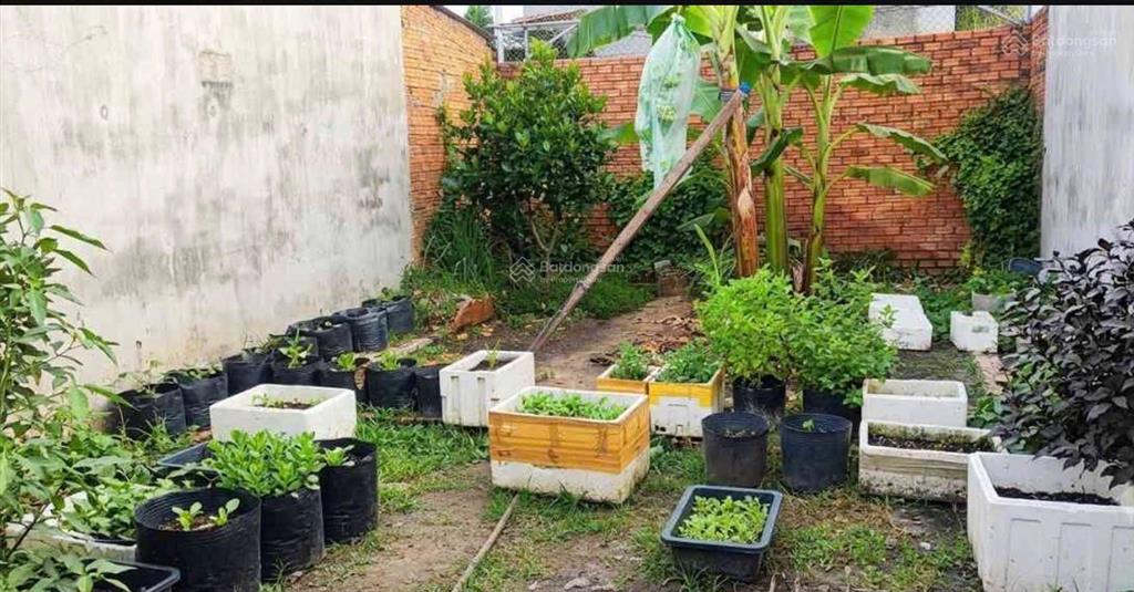 Nhà mặt tiền tân thới nhì hóc môn, 204m2 đất nở hậu  kinh doanh xây căn hộ dịch vụ 5,5 tỷ