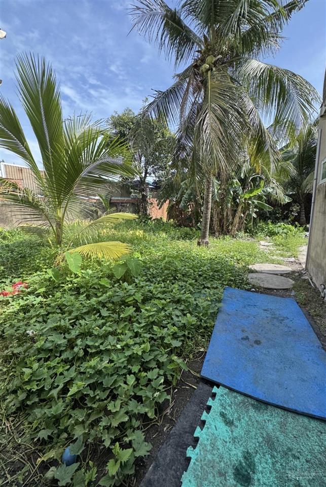 Bán nhà 768m2 sát mặt tiền đỗ văn dậy hóc môn chỉ 8,99 tỷ
