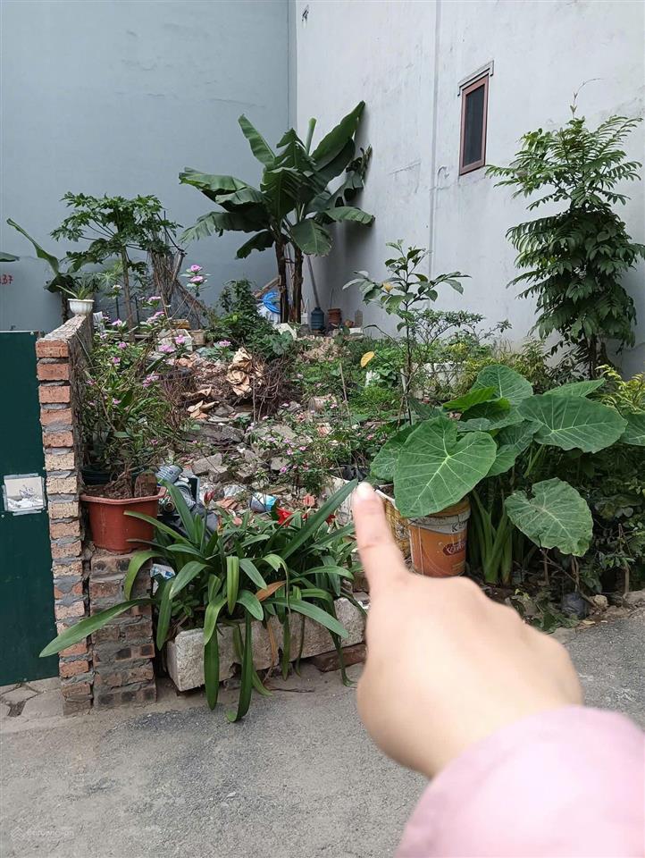 Bán đất thành trung 55,5m² ô tô vào đất, vị trí đẹp