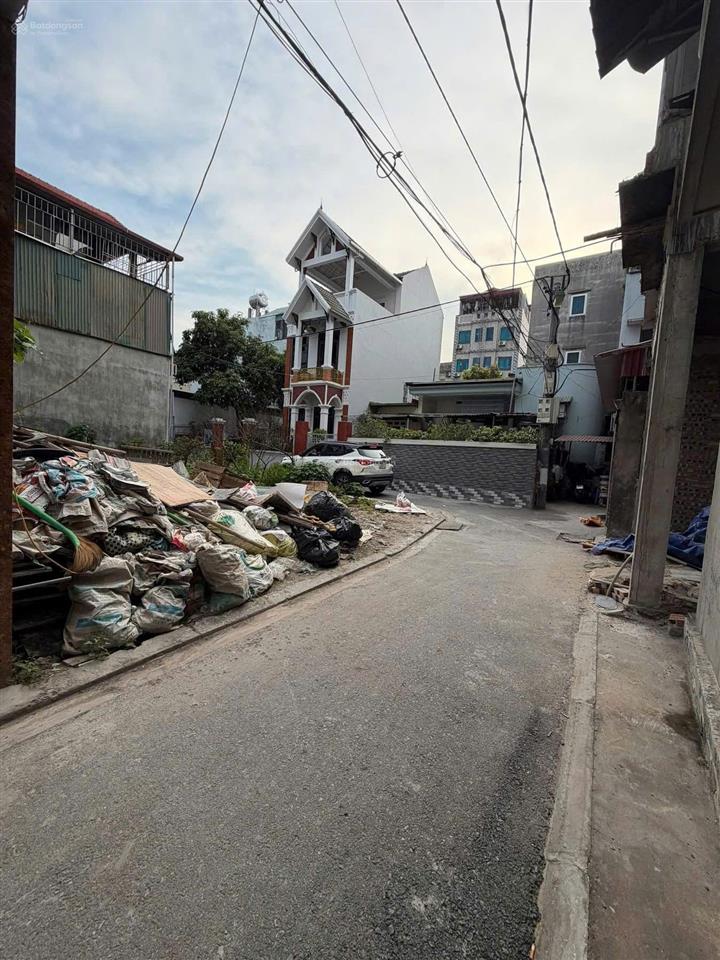 Đất cửu việt  trâu quỳ  lô góc nở hậu  hàng đẹp hiếm