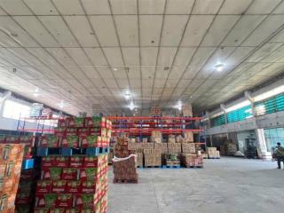 Cho thuê kho xưởng trục xa lộ hà nội,thủ đức,đường cont,pccc vách,bảo vệ 24/24