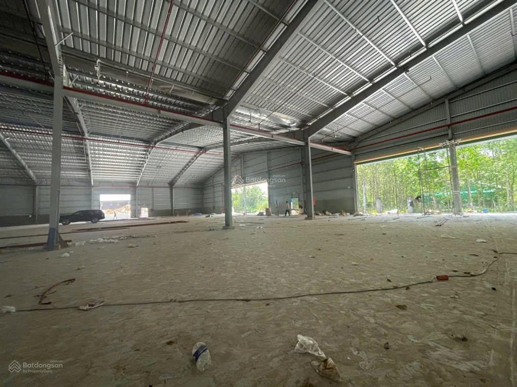 Kho nhơn hội 3000m2 có pccc tự động chỉ 25k/m2