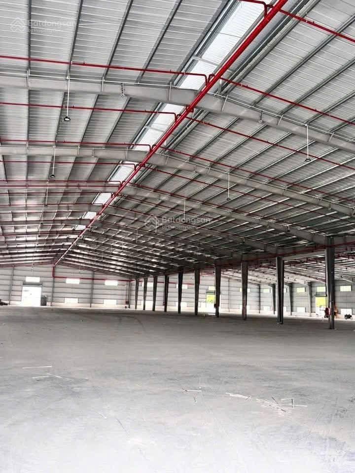 Bán xưởng an nhơn 20000m2 có pccc