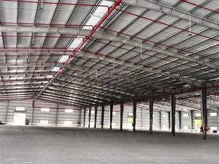 Bán xưởng an nhơn 20000m2 có pccc