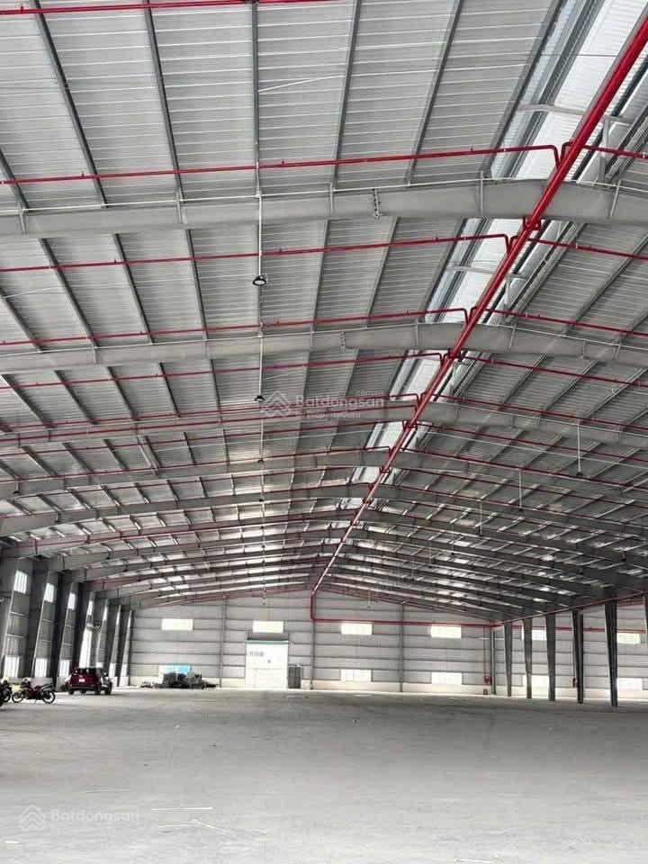 Bán xưởng an nhơn 20000m2 có pccc