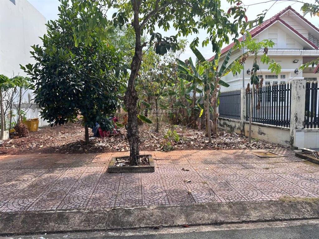 Đấu giá thửa 124tân phú, đồng xoài, bình phước (nay là p.bình phước đồng nai)giá thỏa thuận230m2