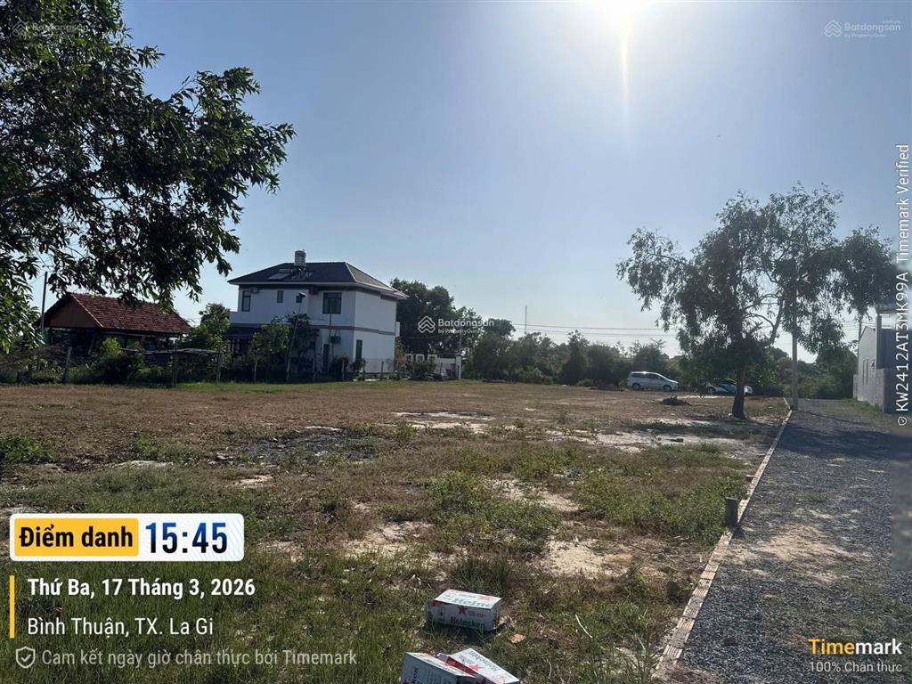 Bán bđs 124kp8, p.phước hội tx.lagi tỉnh bình thuận (nay p.phước hội tỉnh lâm đồng) giá thỏa thuận