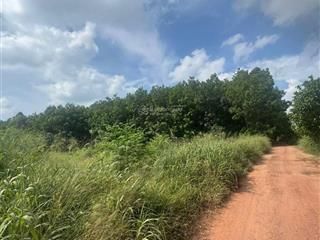 Bán đất an điền bến cát, bình dương