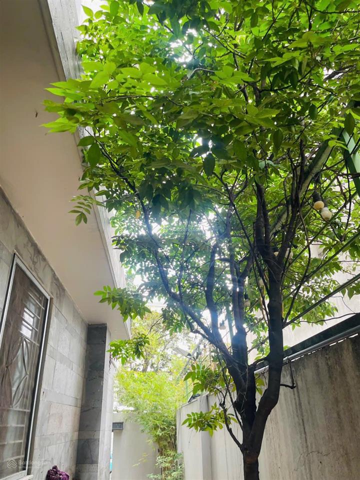 Toà nhà chính chủ 6 tầng có hầm q7  làm văn phòng, trung tâm anh ngữ