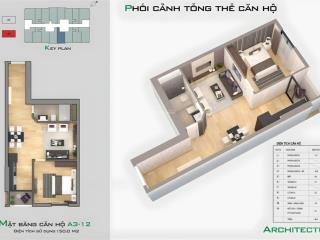 Bán căn hộ 50m2 tht new city giải pháp an cư hoàn hảo với chi phí tối ưu