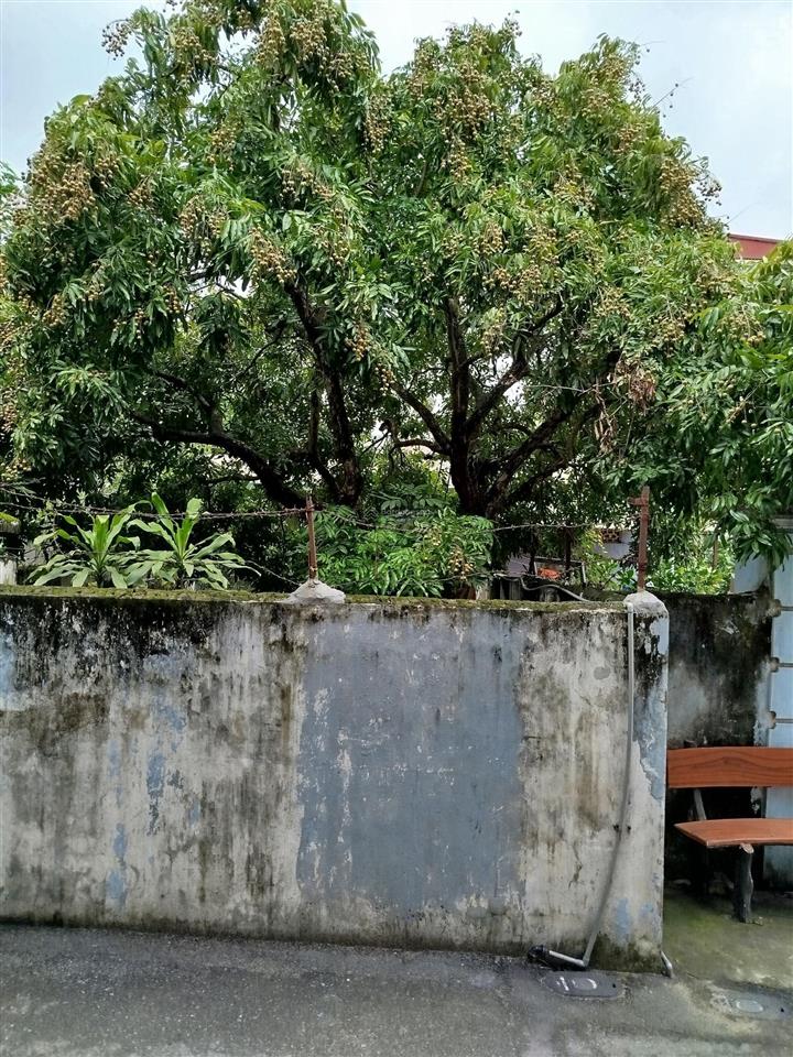 Đất đẹp hộ khẩu thượng cát giá hợp lý, rất phù hợp cho đầu tư với túi tiền nhiều người. diện tích 6