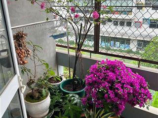 Bán nhà riêng tại phố vũ hữu, 8.8 tỷ, 31m2, chính chủ, giá tốt, otto