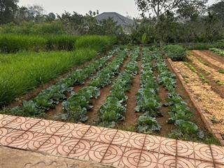 Chính chủ bán mảnh đất đẹp tại thị trấn nhã nambắc giang. đường 5m oto tránh127m chỉ 610tr