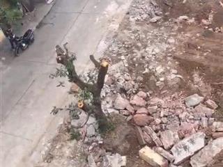 Bán đất ngõ Trần Quang Diệu – đối diện KĐT Tân Phú Hưng – giá 1.4x tỷ