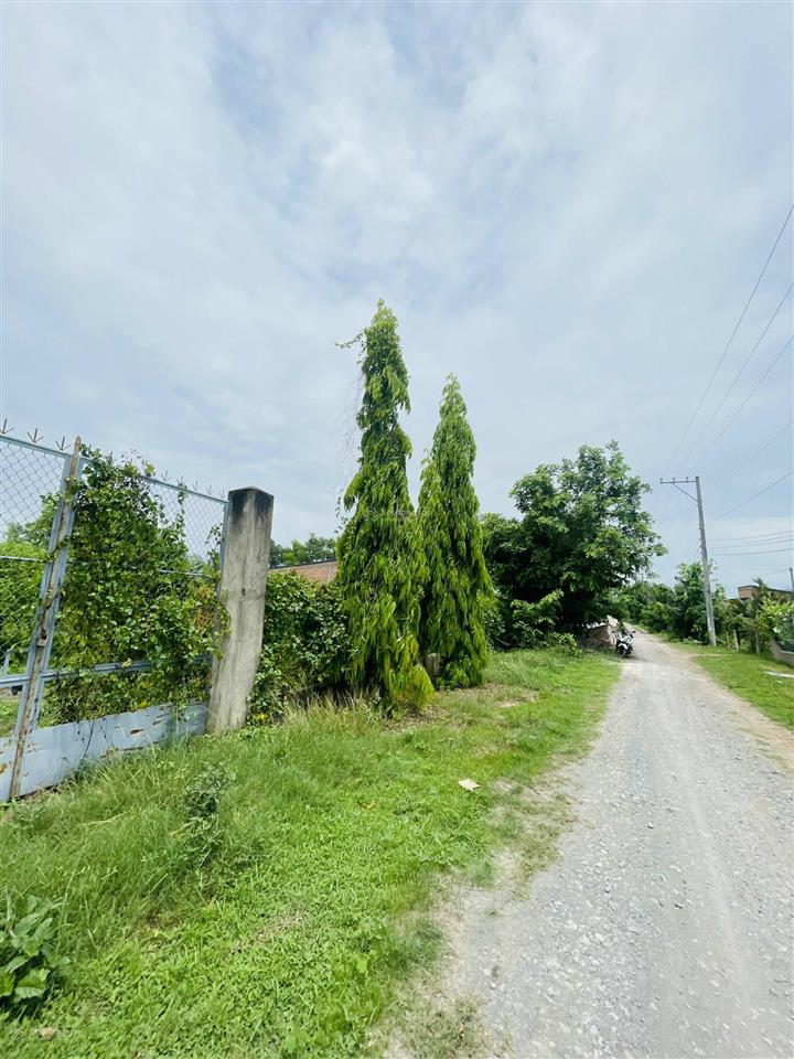 Bán đất tại hướng thọ phú, 3,5 tỷ, (thương lượng) 1424m2, mặt tiền 30m, ngõ 5m, pháp lý đầy đủ