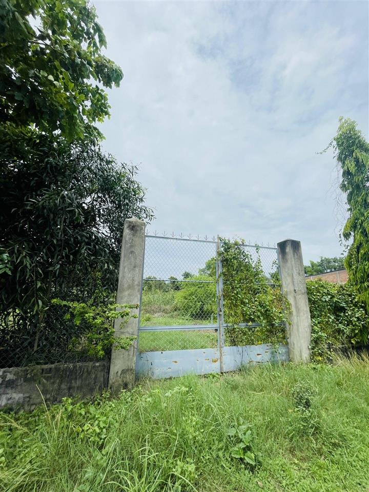Bán đất tại hướng thọ phú, 3,5 tỷ, (thương lượng) 1424m2, mặt tiền 30m, ngõ 5m, pháp lý đầy đủ