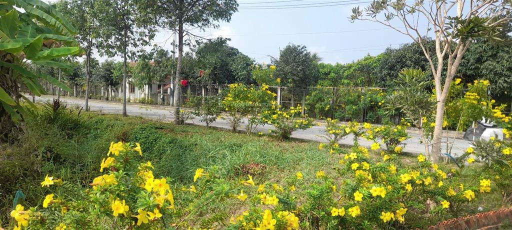 Cho thuê kho cần giuộc  long an, diện tích 10000m2 70k/m2