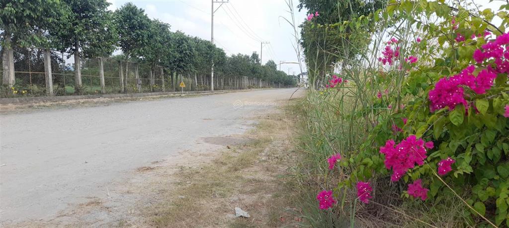 Cho thuê kho cần giuộc  long an, diện tích 10000m2 70k/m2